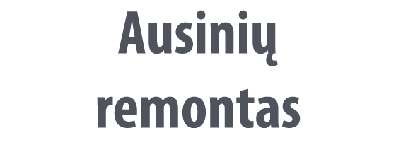 Ausinių Remontas
